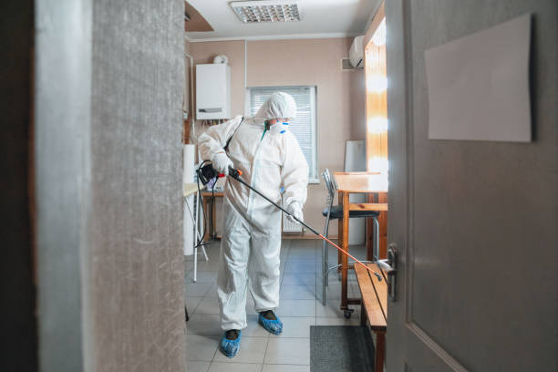 Best Black Mold Removal  in Green Park, MO